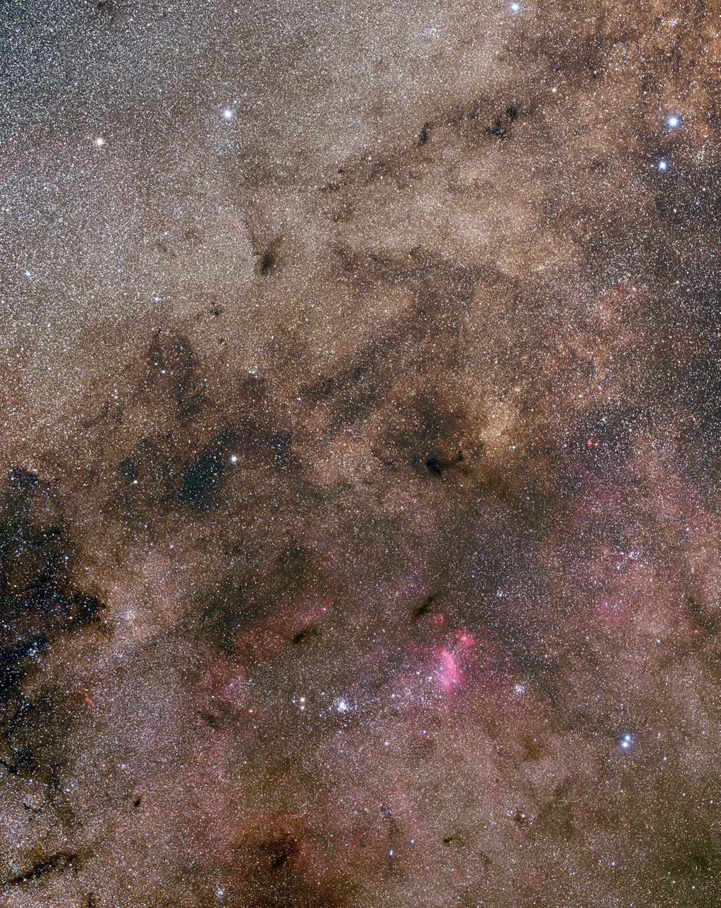 IC4592_3834-3858_x2.jpg