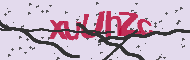Captcha認証コード